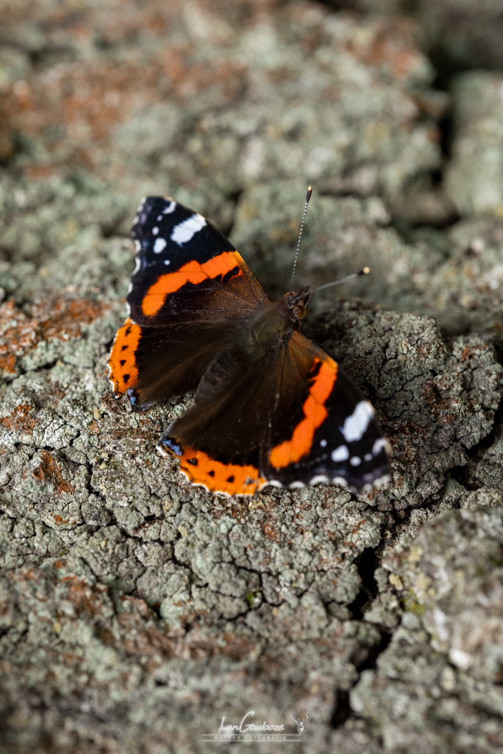 16 september 2023 121411  R2A2698